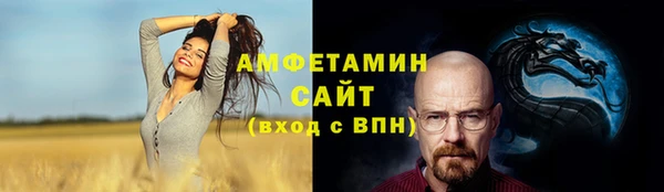 хмурый Алзамай