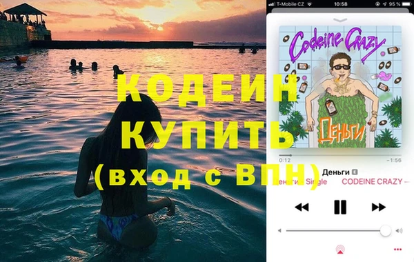 хмурый Алзамай