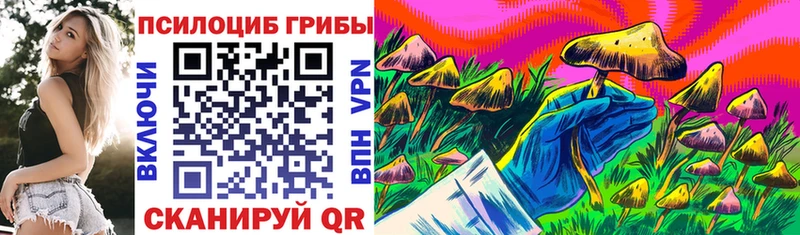 Псилоцибиновые грибы мицелий  Оханск 